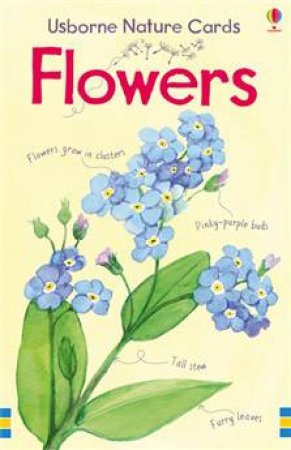 Usborne Nature Cards: Flowers by Megan Cullis