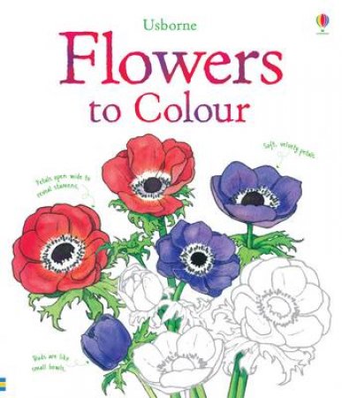 Flowers Colouring Book by Sue Meredith