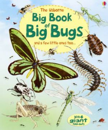 Big Book of Big Bugs by Various