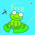 Usborne Cloth Books Frog