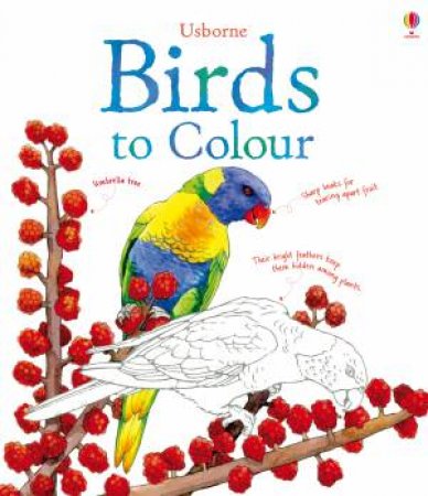 Birds to Colour by Megan Cullis