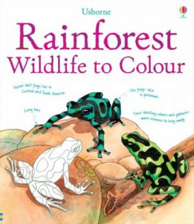 Rainforest To Colour by None