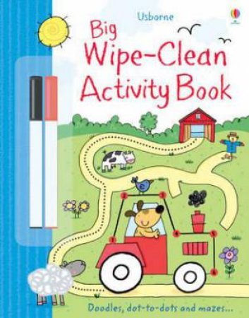 Big Wipe Clean Activity Book by Sam Taplin