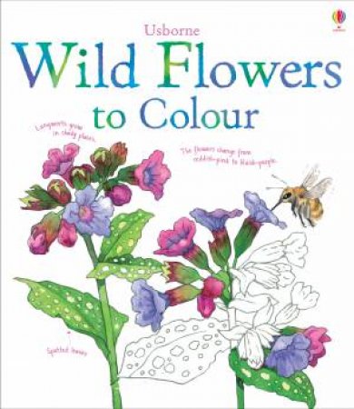 Wild Flowers to Colour by Susan Meredith