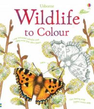 Wildlife to Colour