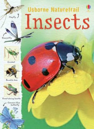 Naturetrail Insects by Rachel Firth & Louie Stowell