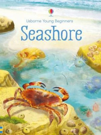 Young Beginners Seashore by Emily Bone & Cinzia Battistel