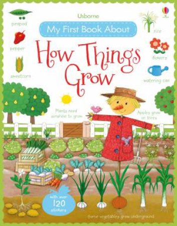 My First Book About How Things Grow by Felicity Brooks