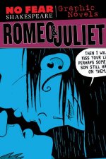 No Fear Shakespeare Graphic Novels Romeo  Juliet