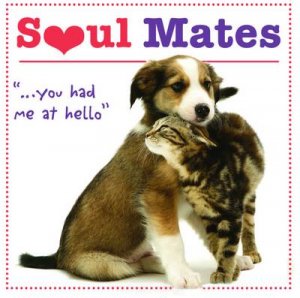 Soul Mates by Robin  Haywood