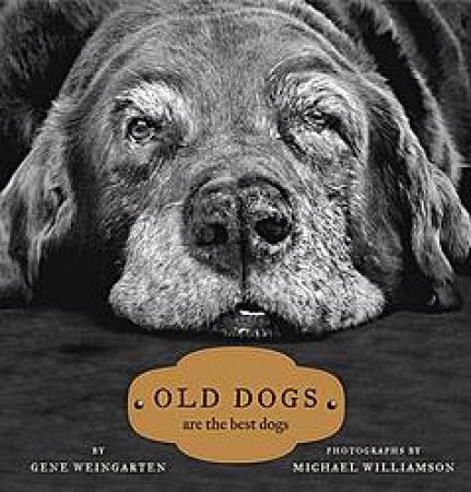 Old Dogs Are the Best Dogs by Gene Weingarten