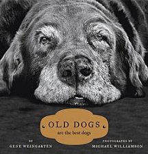 Old Dogs Are the Best Dogs