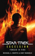 Star Trek Excelsior Forged In Fire