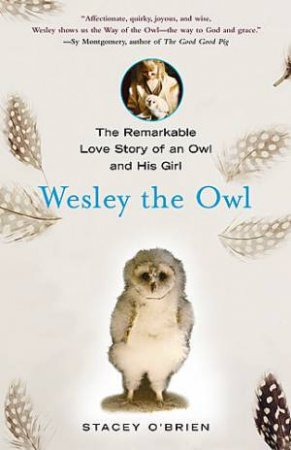 Wesley the Owl by Stacey O'Brien