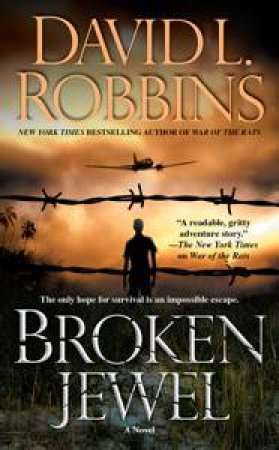 Broken Jewel by David L Robbins