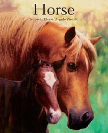 Horse by Angelo Rinaldi & Malachy Doyle 