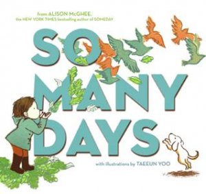 So Many Days by Alison McGhee