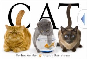 Cat by Matthew Van Fleet