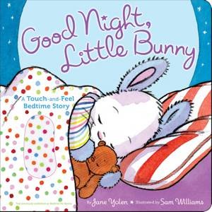 Good Night, Little Bunny by Jane Yolen