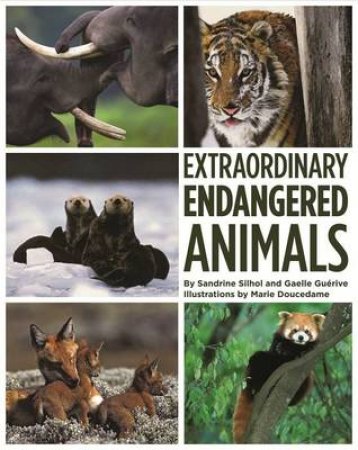 Extraordinary Endangered Animals by Sandrine Silhol