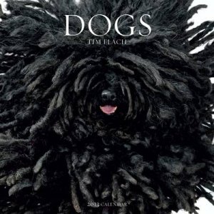 Dogs 2013 Wall Calendar by Tim Flach