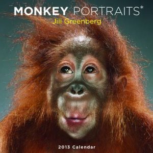 Monkey Portraits 2013 Wall Calendar by Jill Greenberg