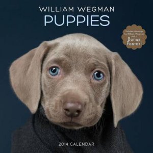 Puppies Calendar 2014 by William Wegman