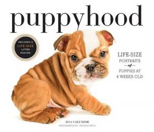 Puppyhood 2014 Wall Calendar by J Smith