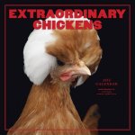 Extraordinary Chickens 2015 Calendar