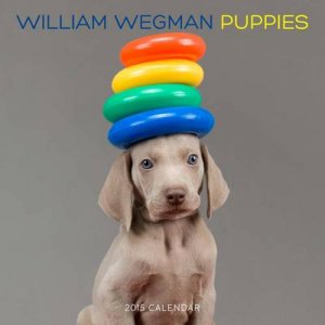 Puppies 2015 Wall Calendar by William Wegman