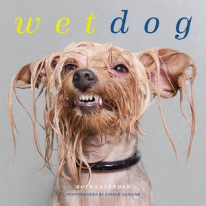 Wet Dog 2016 Wall Calendar by Sophie Gamand