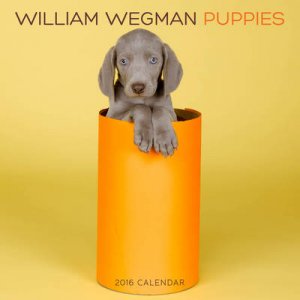 William Wegman Puppies 2016 Wall Calendar by William Wegman