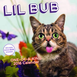 Lil Bub 2016 Wall Calendar by Bub Lil