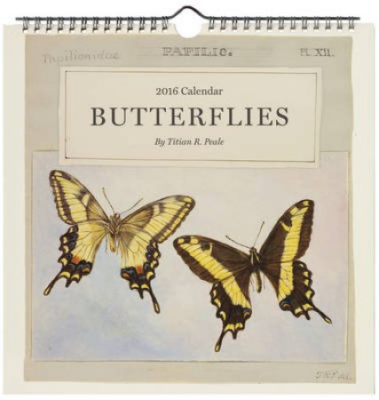 Butterflies 2016 Wall Calendar by Titian Ramsay Peale