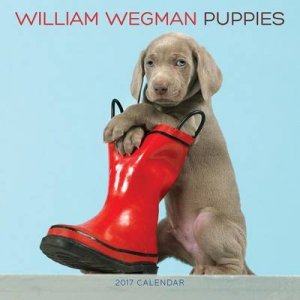 William Wegman Puppies 2017 Wall Calendar by William Wegman