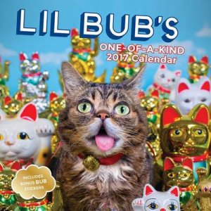 Lil Bub 2017 Wall Calendar by Bub Lil