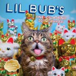 Lil Bub 2017 Wall Calendar