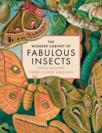 The Wonder Cabinet of Fabulous Insects by Denis Richard & Pierre-Olivier Maquart