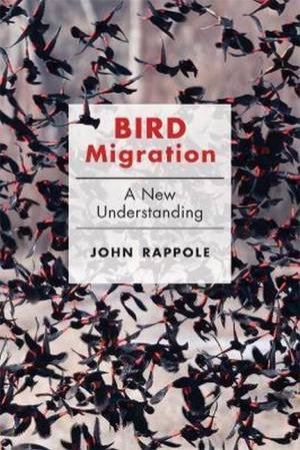 Bird Migration by John H. Rappole