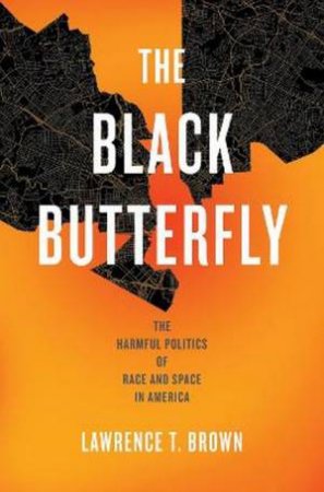 The Black Butterfly by Lawrence T. Brown