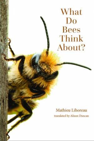 What Do Bees Think About? by Mathieu Lihoreau & Alison Duncan