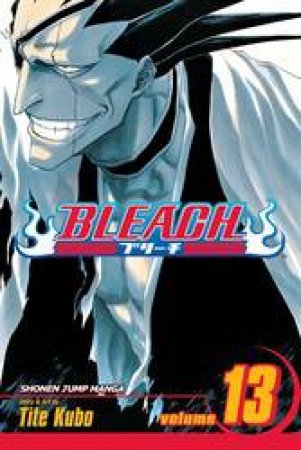 Bleach 13 by Tite Kubo