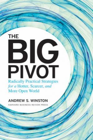 Big Pivot by Andrew S Winston