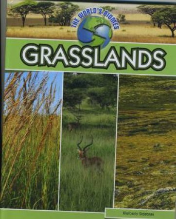 Grasslands by Unknown