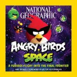 Angry Birds Space A Furious Flight Into the Final Frontier