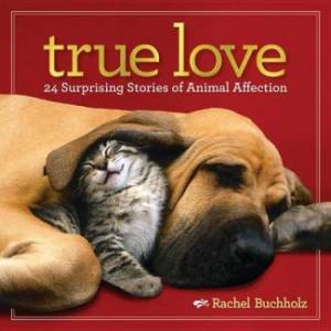 True Love by Rachel Buchholz