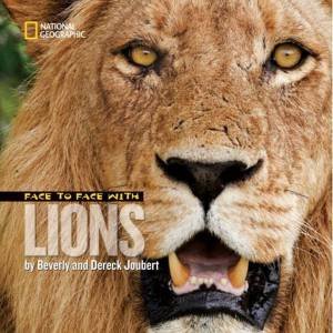 Face To Face With Lions by Dereck Joubert