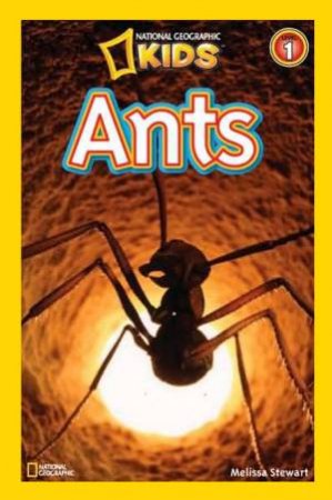 Ants by Melissa Stewart