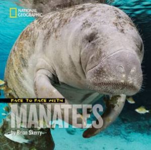 Face To Face With Manatees by Brian Skerry