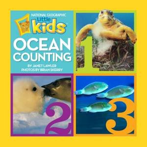 Ocean Counting by Janet Lawler